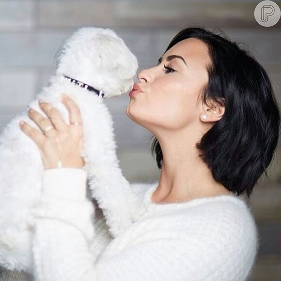 Demi Lovato recebeu o apoio de alguns fãs no Twitter. 'Sinto muito. Mandando todo o meu amor', escreveu um deles