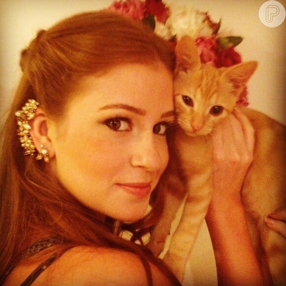 Marina Ruy Barbosa posa com cabelo meio preso ao lado de um gatinho