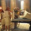Animais dos egípcios morreram na quinta praga, inclusive o cavalo favorito do rei