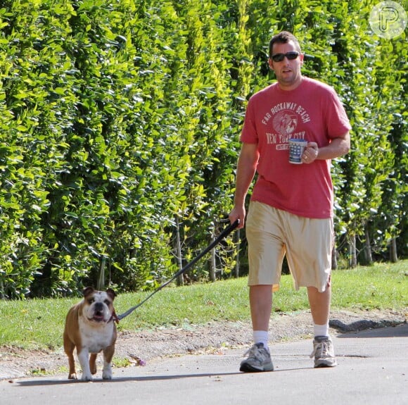Adam Sandler passeia com o seu cachorro Matzoball