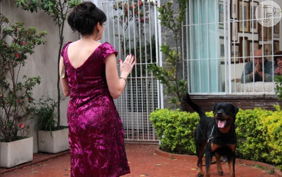 Denise Fraga contracena com um rottweiler na série: 'Fiz uma preparação com um treinador de cães e o bichão também era super obediente. Além disso, sou uma menina corajosa!'