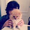 Fiuk publica foto com a cachorrinha Jessie: 'O novo membro da família'