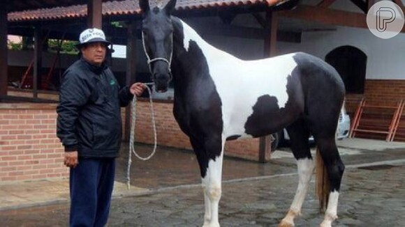 Zeca Pagodinho posa ao lado de um de seus cavalos, na fazenda onde mora em Xerém, em Duque de Caxias, na Baixada Fluminense