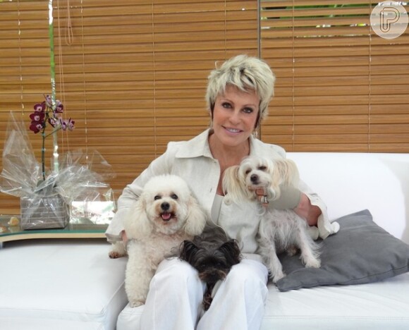 Ana Maria Braga posa com seus cachorros nos bastidores do 'Mais Você'