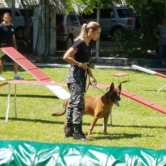 Paolla Oliveira treina com o cachorro Iron para a novela 'A Força do Querer'