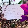 Juliana Paes exibiu o bilhete recebido pelo marido em seu Instagram