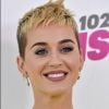 Katy Perry explicou o corte bem curtinho em entrevista a Ellen DeGeneres: 'Às vezes você tem queda de cabelo por ficar loira demais. Então essa foi a maneira que eu encontrei para lidar com isso'