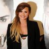 Demi Lovato conversou com a imprensa antes de começar a etapa brasileira da turnê 'The Neon Lights Tour' e contou que quer ir à praia, em 22 de abril de 2014