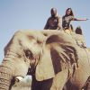 Carol Castro publicou uma foto andando de elefante durante sua viagem em Joannesburgo, na África