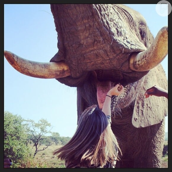 Carol Castro também publicou uma foto alimentando um elefante