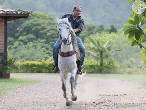 Helena (Julia Lemmertz)quer dar um cavalo de presente a Virgílio (Humberto Martins) na novela 'Em Família'