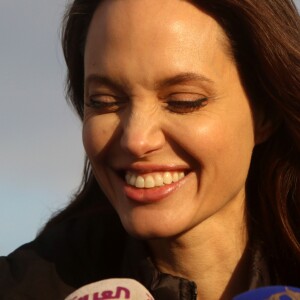 'Vejo minhas falhas. Mas o que eu gosto de ver não é um traço ou minha aparência. É mais porque enxergo minha família em meu rosto', disse Angelina Jolie