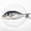 Fontes de ômega 3, os peixes são antiinflamatórios e auxiliam na circulação sanguínea