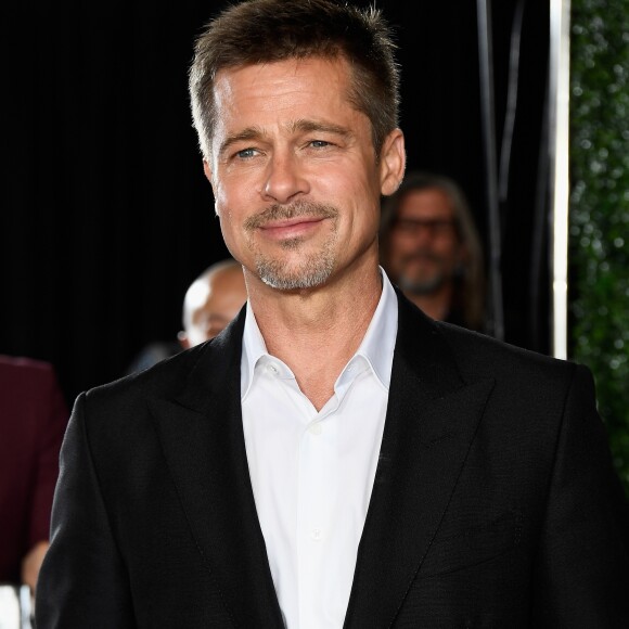 'Eles se deram bem de cara, eles tem muitas paixões em comum, principalmente por arquitetura, design e arte. No começo era apenas uma amizade profissional', disse uma fonte sobre o namoro de Brad Pitt