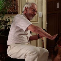 Paulo Jose Fotos Ultimas Noticias Idade Signo E Biografia Purepeople