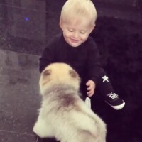 Filho de Karina Bacchi, Enrico brinca com cachorrinha: 'Interagem numa boa'