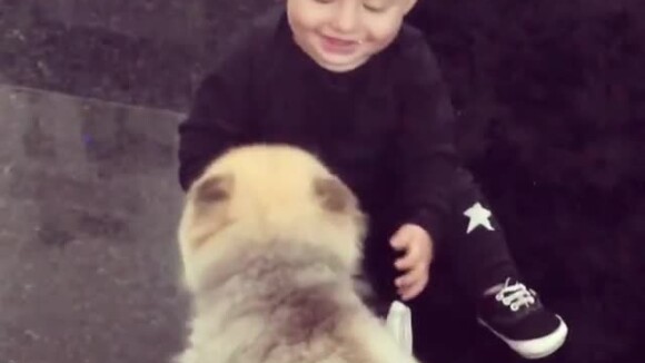 Filho de Karina Bacchi, Enrico brinca com cachorrinha: 'Interagem numa boa'