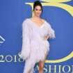 Plumas em lavanda e superfenda: veja o vestido usado por Kendall Jenner no CFDA