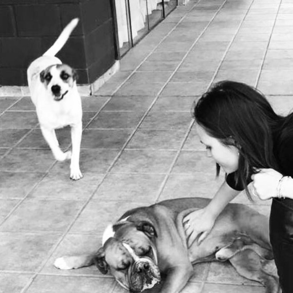 Larissa Manoela lamenta morte de um de seus cachorros, Benjamim, em postagem nesta segunda-feira, dia 03 de dezembro de 2018