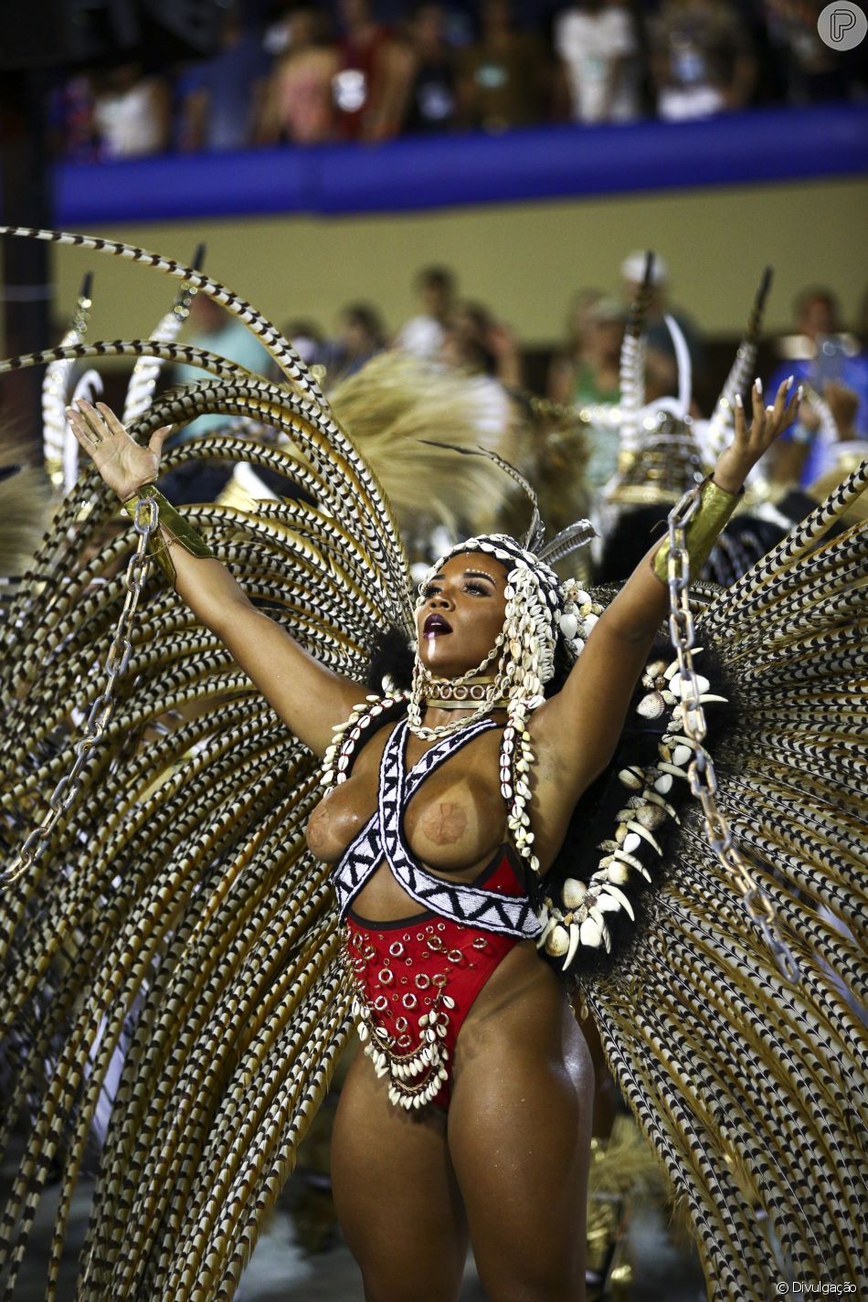 Surubã_o de carnaval na piscina com direito a muito DP