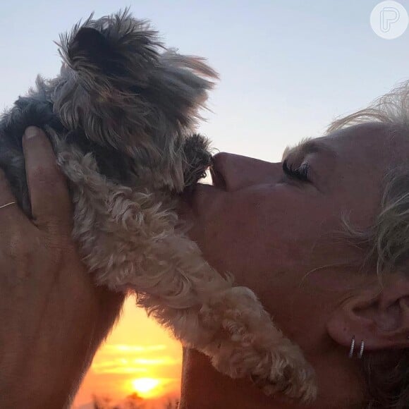 Xuxa Meneghel argumenta ao lamentar a morte do cachorrinho Dudu: 'Acreditar que houve erro médico não o trará de volta'