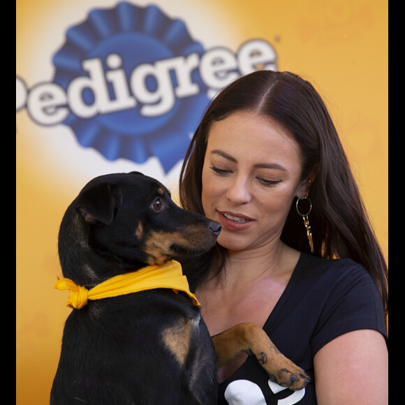 Paolla Oliveira se encantou pelos cachorrinhos