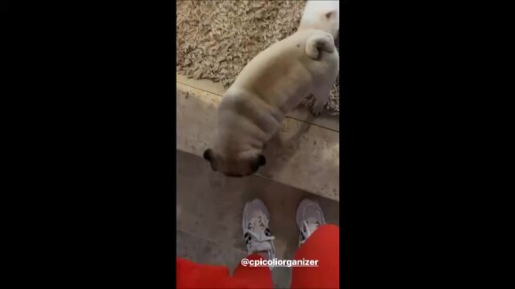 Naiara Azevedo mostrou o seu closet em vídeo publicado no Instagram nesta terça-feira, 27 de agosto de 2019