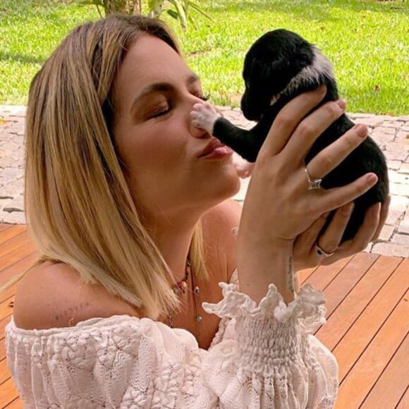 Giovanna Ewbank exibe transformação de cachorro e impressiona