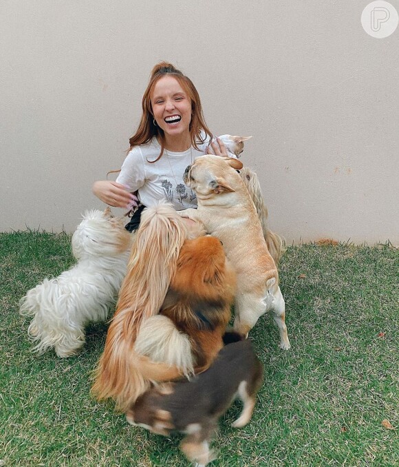 Larissa Manoela também se diverte com os pets durante o período de isolaento
