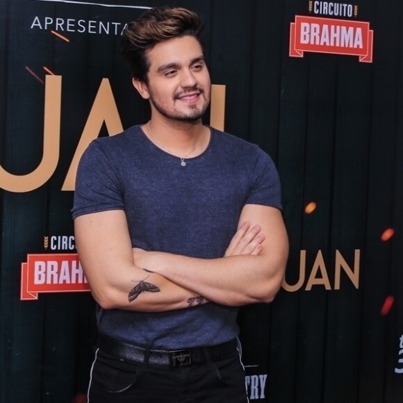 Luan Santana contou que ajuda nas tarefas domésticas