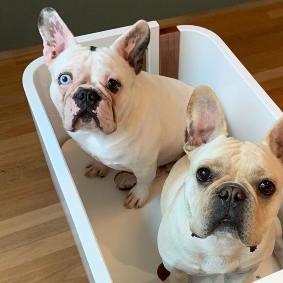 Sthefany Brito falou sobre adaptação de London e Montalcino após gravidez