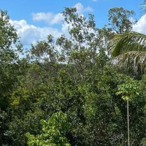 Maria Lina e Whindersson Nunes quiseram revelar gravidez antes de notícia vazar na web