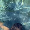 Anitta posta reels no Instagram dando mergulho em piscina ao som de 'Girl From Rio', seu mais novo sucesso