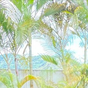 Fátima Bernardes e Túlio Gadêlha vivem se declarando nas redes sociais