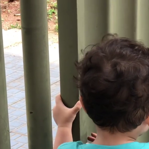 Leo, filho de Marília Mendonça e Murilo Huff, aguarda o pai 'enrolado', segundo a avó, atrás de um portão