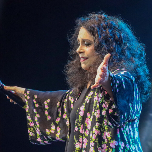 Carnaval da Mangueira: até Gal Costa subiu ao palco em evento que reuniu famosos no Rio de Janeiro