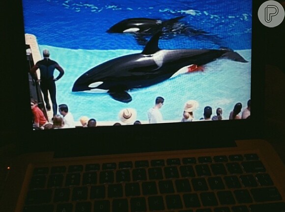 Bruna Marquezine sugere que as pessoas assistem 'BlackFish', o documentário sobre a exploração de baleias nos Estados Unidos