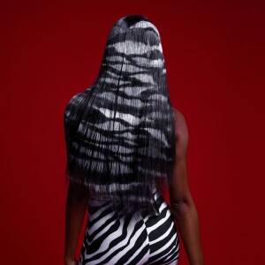 Cabelo com estampa de zebra foi escolha de Camilla de Lucas para o MTV Miaw