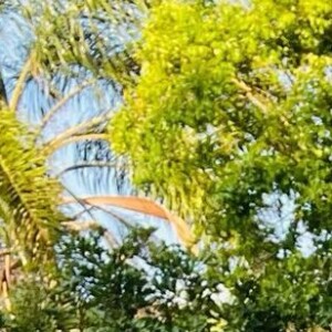 Atualmente, Fernanda Souza namora Eduarda Porto