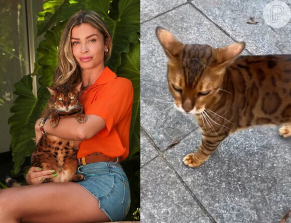 Gabriel Medina mostrou gato de Grazi Massafera no Instagram Stories