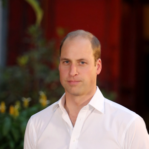Príncipe William precisa da ajuda de Harry, diz especialista em Família Real