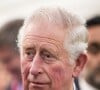 Rei Charles terá que pagar anualmente £ 700 mil, o equivalente a R$ 4,1 milhões, segundo a cotação atual, para continuar vivendo no local