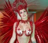 Carnaval 2023: fantasia da rainha de bateria da X-9 Paulistana, Ingrid Mantovani somava 30 mil cristais
