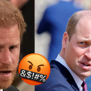 Príncipe William e Príncipe Harry protagonizam a nova polêmica da Família Real