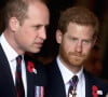 Príncipe William fez uma séria ameaça para Príncipe Harry através de uma mensagem, segundo o site Radar Online