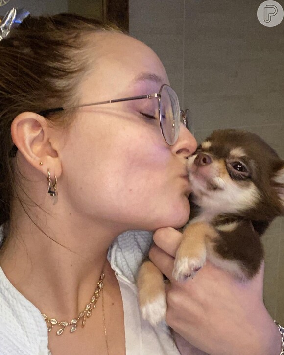 Larissa Manoela hoje mora com três pets - um quarto perdeu a vida em julho de 2023