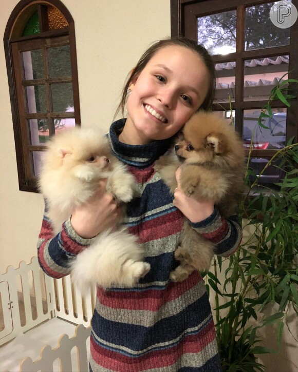 Larissa Manoela deixou quatro cães com seus pais, em São Paulo