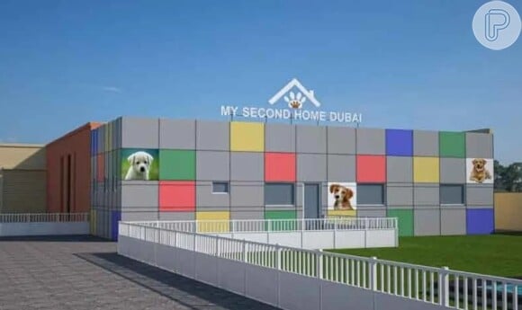 Resort de luxo para cães em Dubai recebeu investimento de R$ 50 milhões