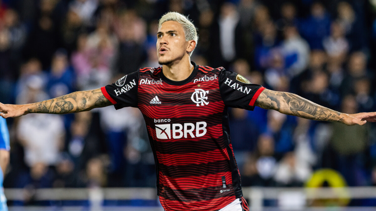 Foto: Goiás x Flamengo vai passar na Globo? E onde assistir Fluminense x  Cruzeiro pela 24ª rodada do Brasileirão 2023 em 20 de setembro de 2023 -  Purepeople