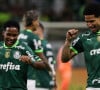 Palmeiras campeão Brasileiro 2023? Palmeiras x Fluminense vai passar na Globo no domingo 3 de dezembro de 2023 às 16h. Sportv também exibe jogo que pode ser decisivo